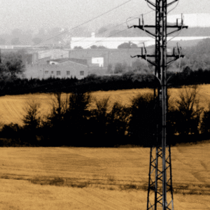 Los cuervos sobre el trigo portada